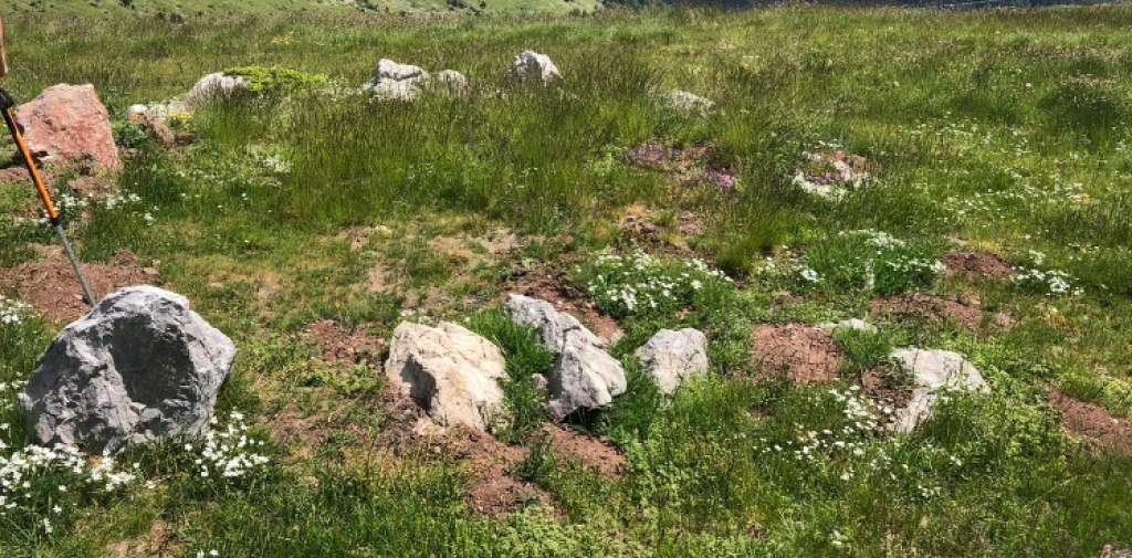 Círculos de piedra en el Collado de Sahún